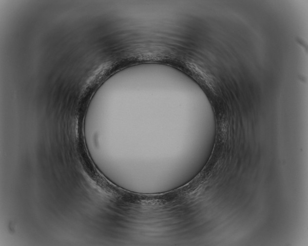 X0000091240686200709061540