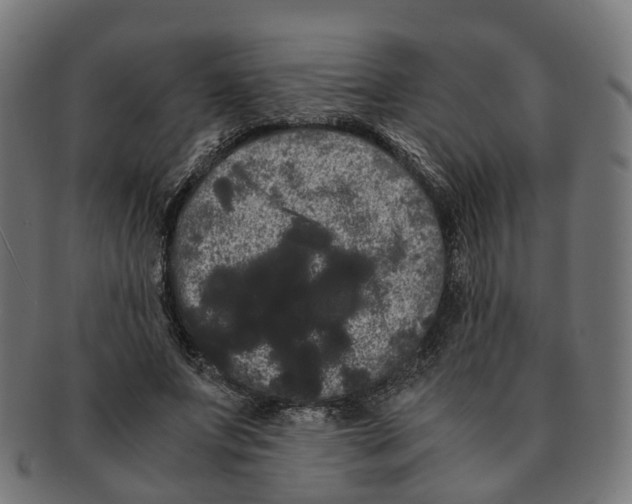 X0000091240687200709061540