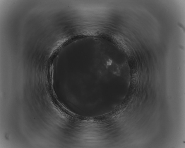 X0000091240688200709061540