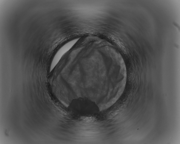 X0000091240689200709061540