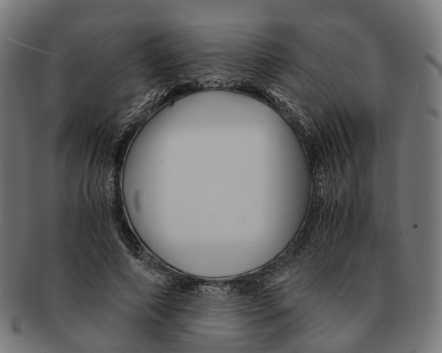 X0000091240690200709061540