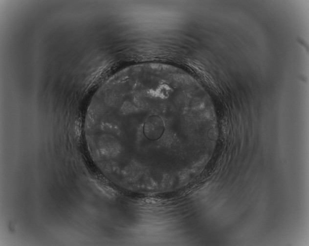 X0000091240691200709061540