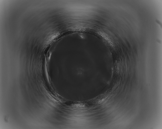 X0000091240692200709061540