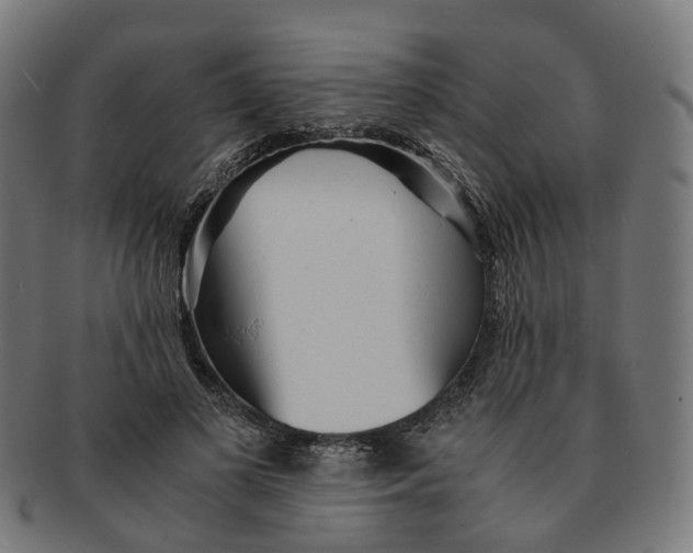 X0000091240693200709061540