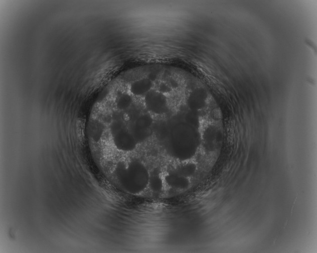 X0000091240695200709061540