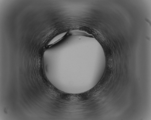 X0000091240697200709061540