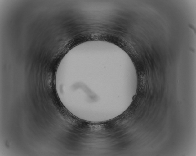 X0000091240698200709061540