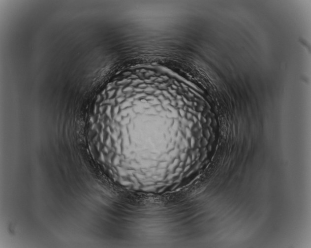 X0000091240700200709061540