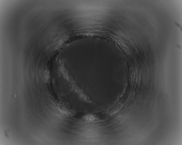 X0000091240704200709061540