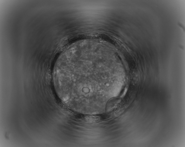 X0000091240707200709061540