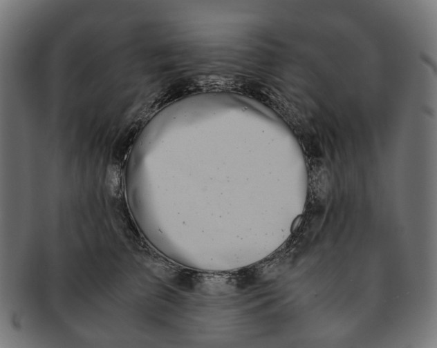 X0000091240709200709061540