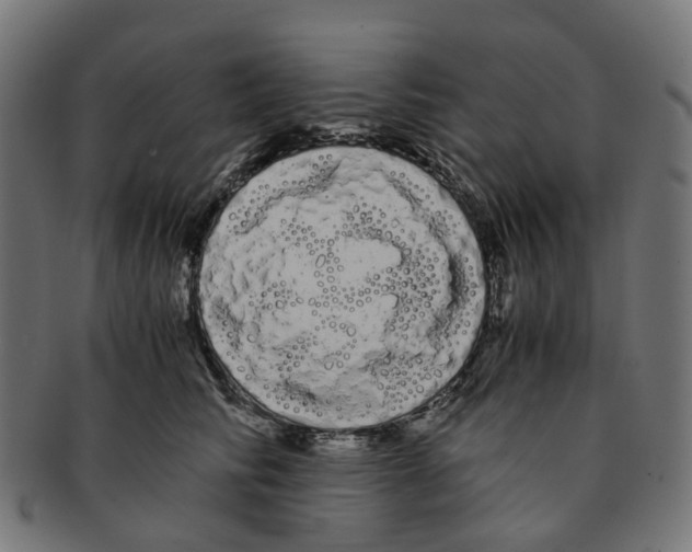 X0000091240710200709061540