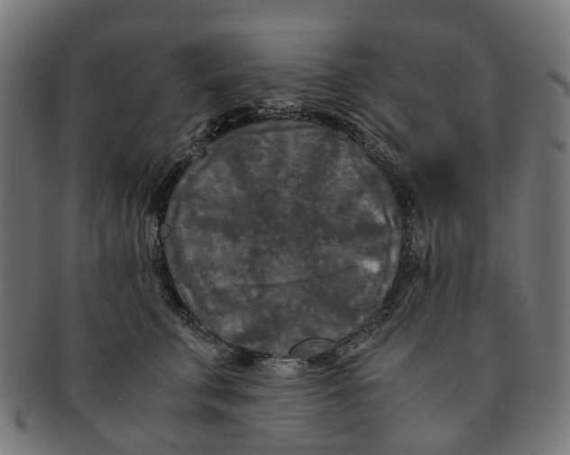 X0000091240711200709061540