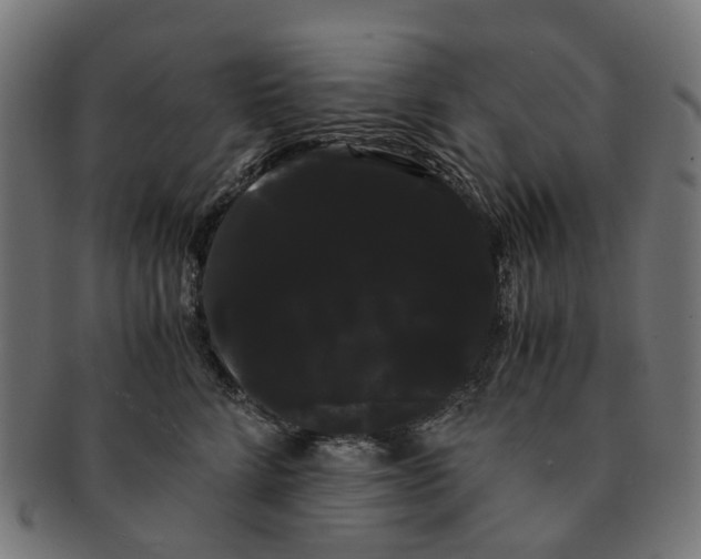 X0000091240712200709061540