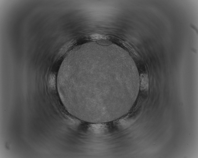 X0000091240713200709061540