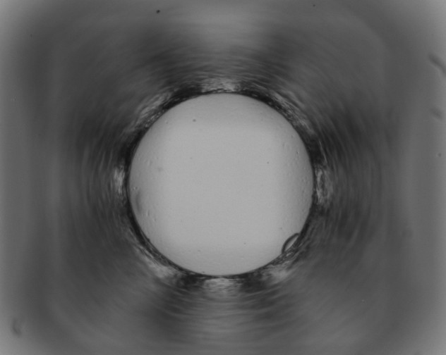 X0000091240714200709061540