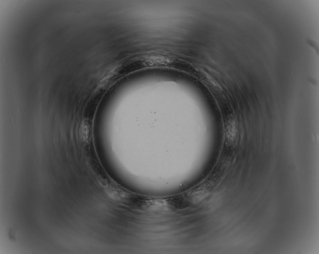 X0000091240715200709061540