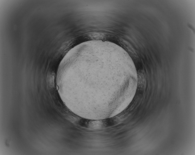 X0000091240717200709061540