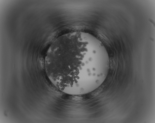 X0000091240718200709061540