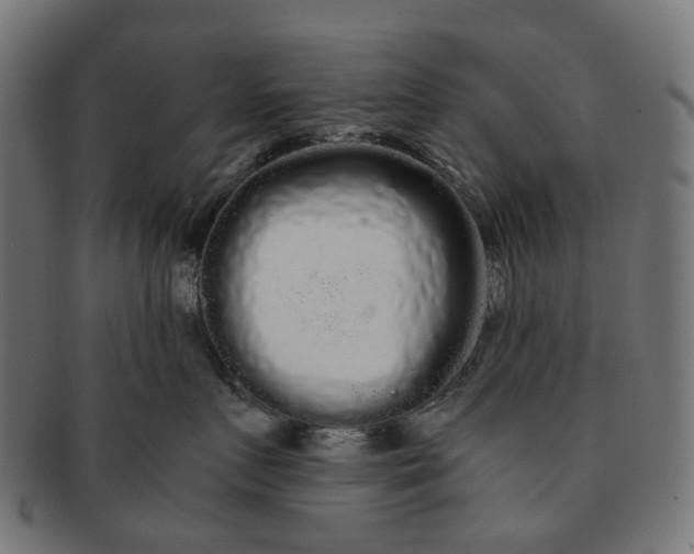 X0000091240719200709061540