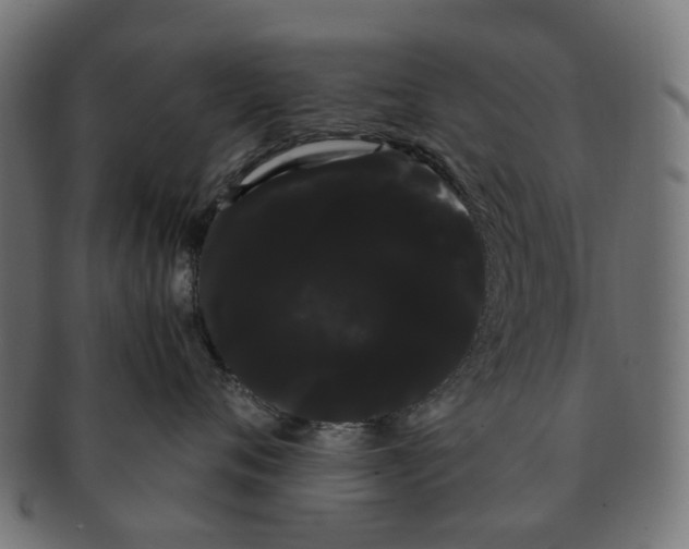 X0000091240720200709061540