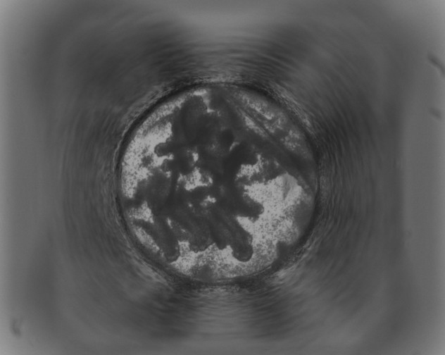 X0000091240721200709061539