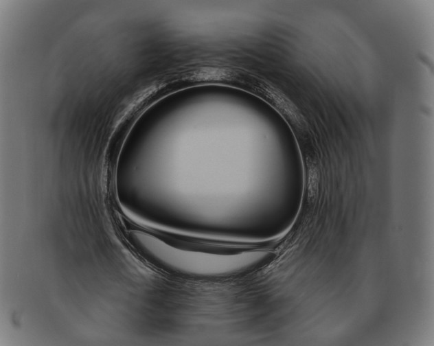 X0000091240722200709061539