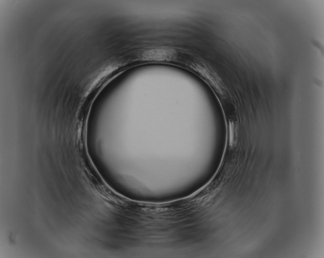 X0000091240723200709061539