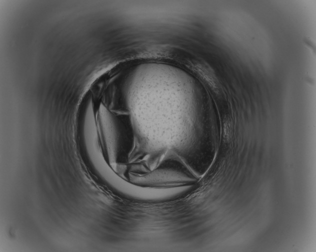 X0000091240724200709061539
