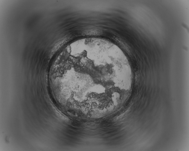 X0000091240725200709061539