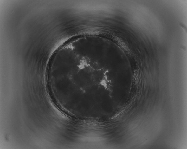 X0000091240726200709061539