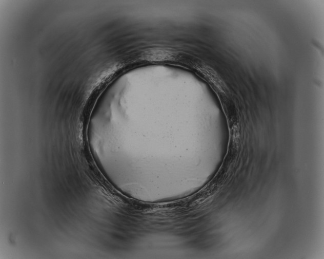 X0000091240727200709061539
