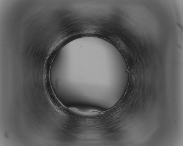 X0000091240728200709061539