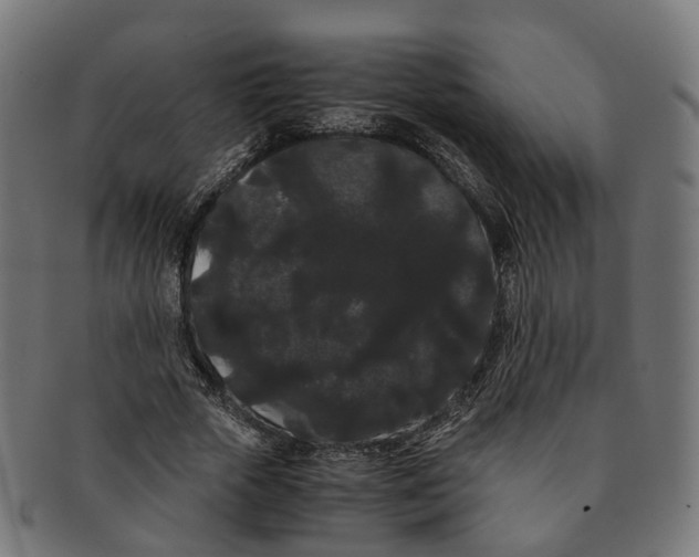 X0000091240729200709061539