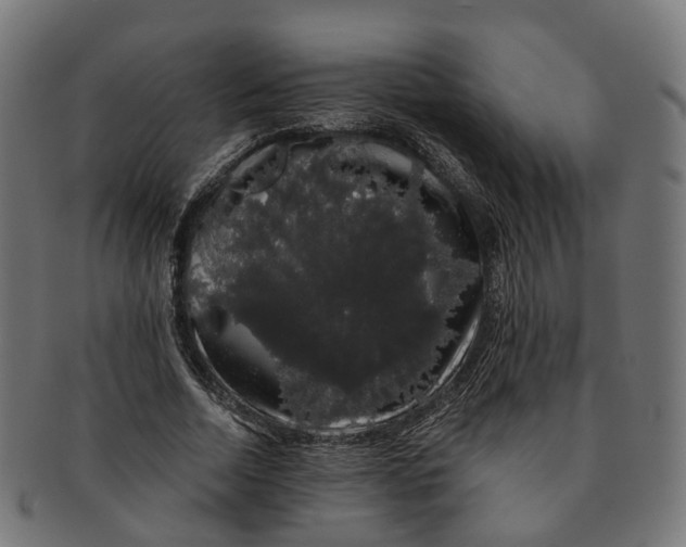 X0000091240730200709061539