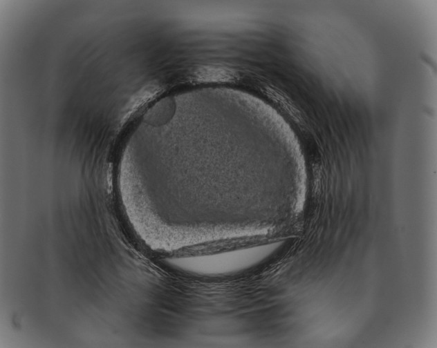 X0000091240731200709061539