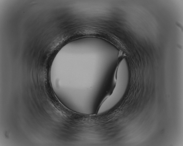 X0000091240732200709061539