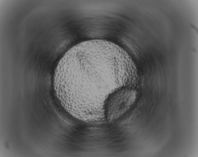 X0000091240733200709061539