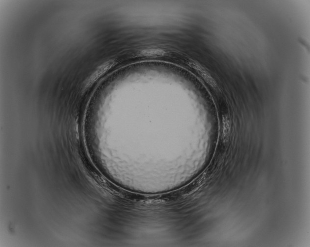X0000091240734200709061539