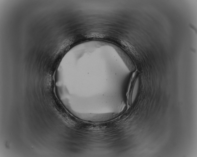 X0000091240735200709061539