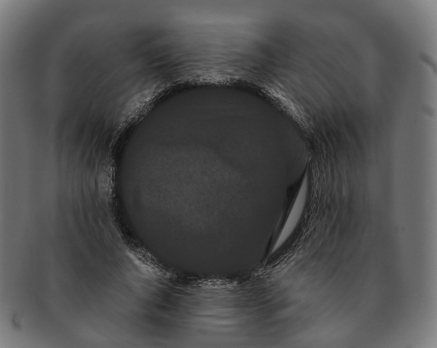 X0000091240736200709061539