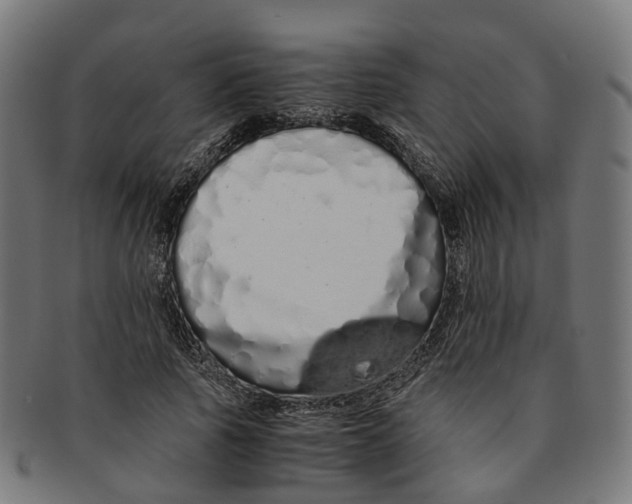 X0000091240737200709061539