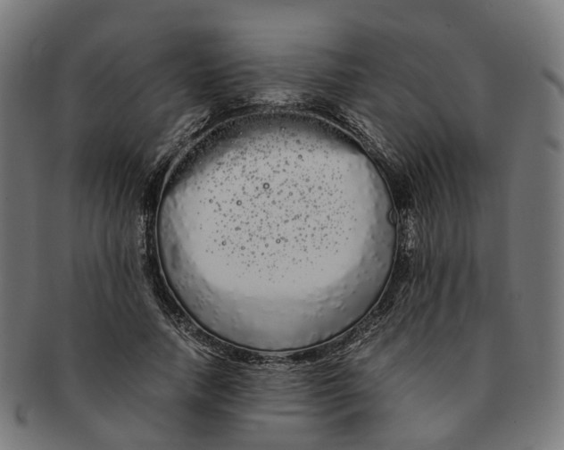 X0000091240738200709061539