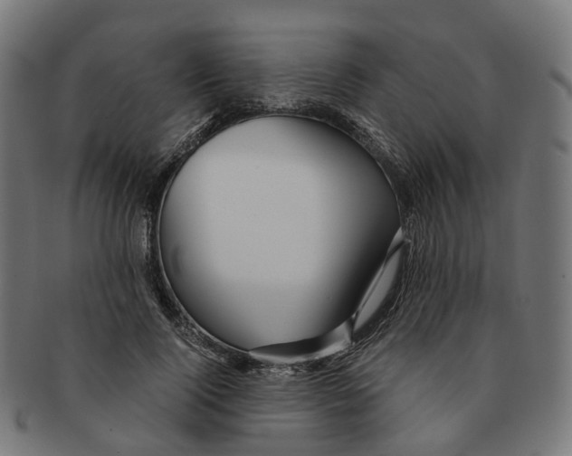 X0000091240740200709061539