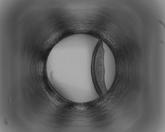 X0000091240742200709061539