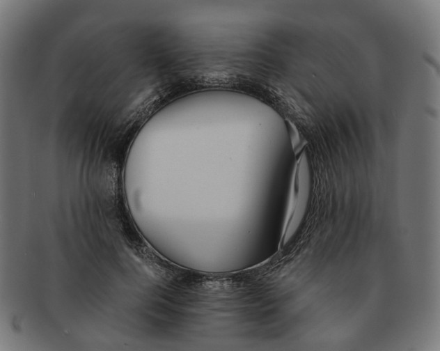 X0000091240744200709061539