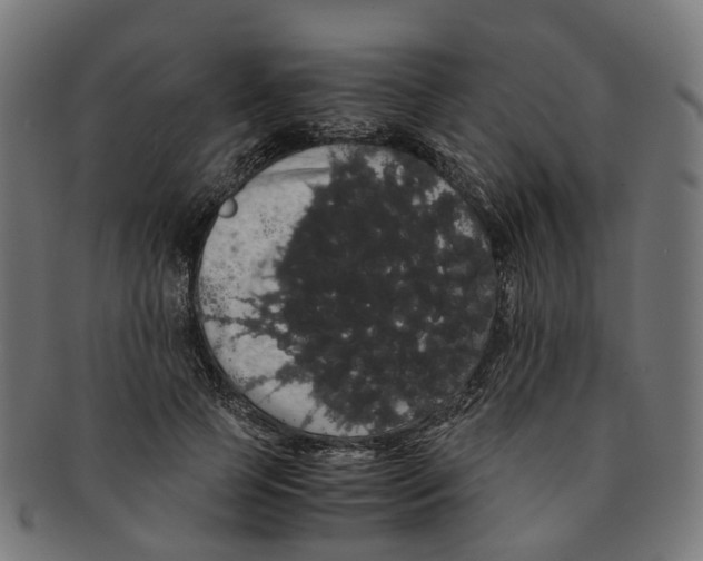 X0000091240745200709061539