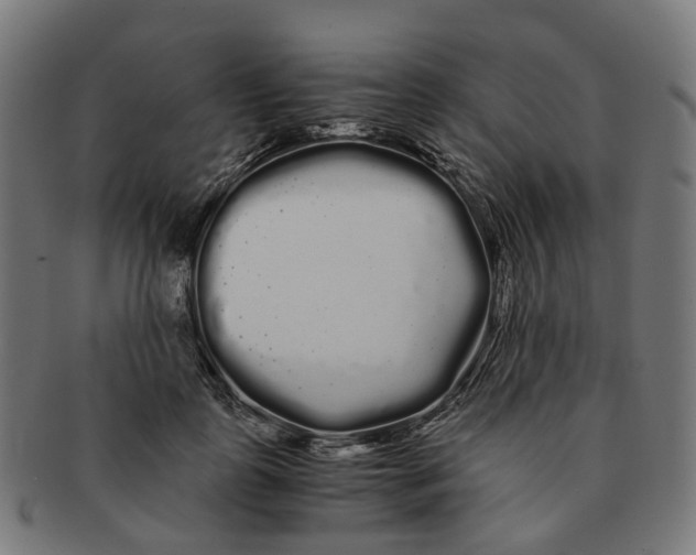 X0000091240747200709061539