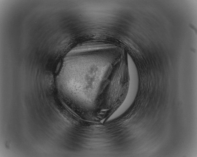 X0000091240748200709061539