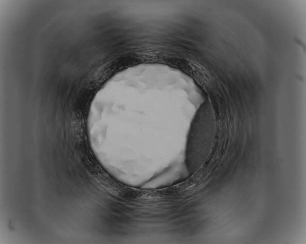X0000091240749200709061539